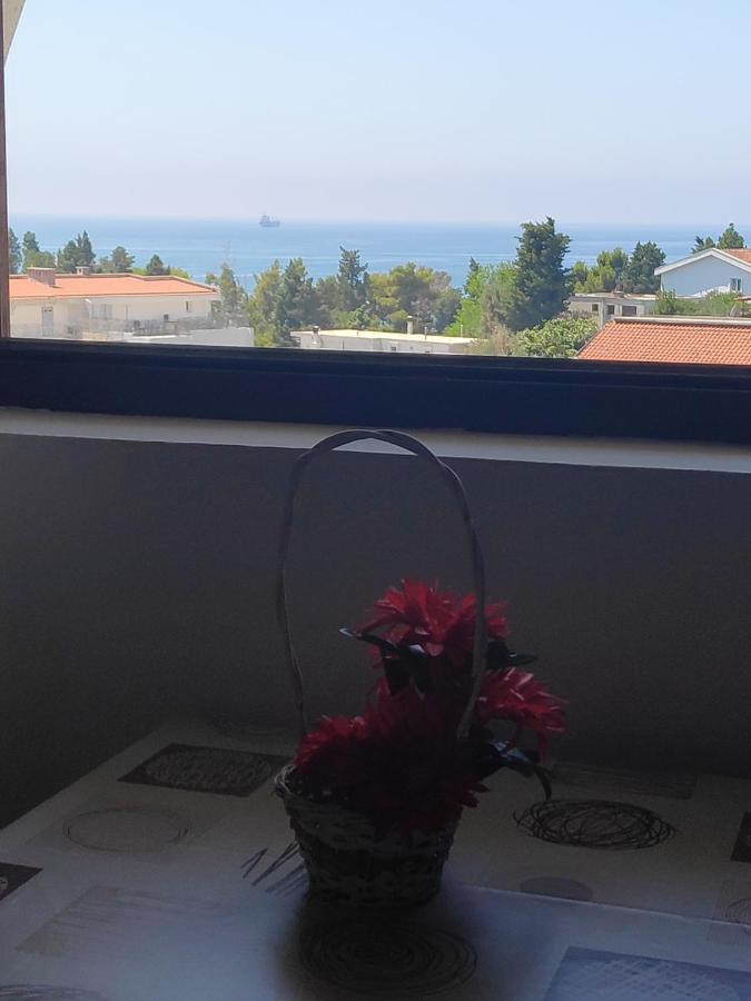 Apartmani Vitic Bar Exteriör bild